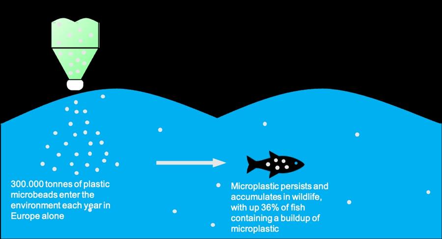 Microplastics in the environment and wildlife