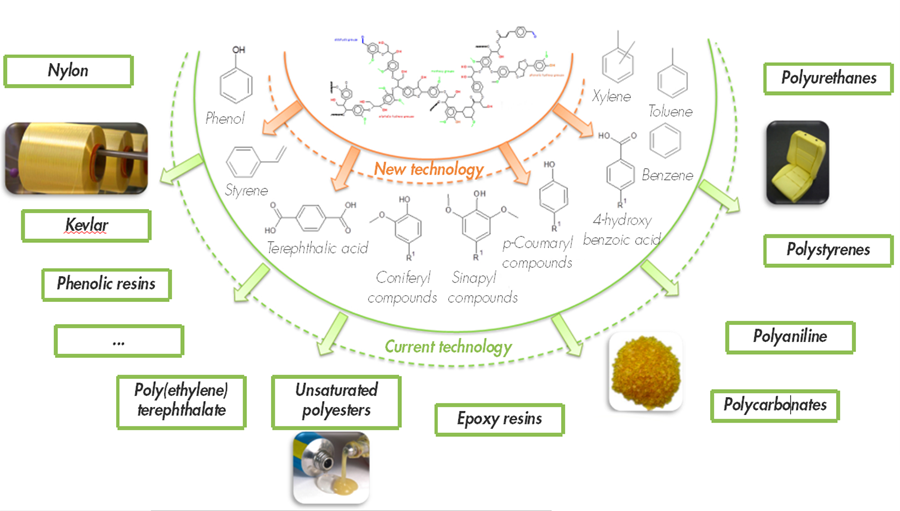 Lignin as feedstock for biobased aromtatics