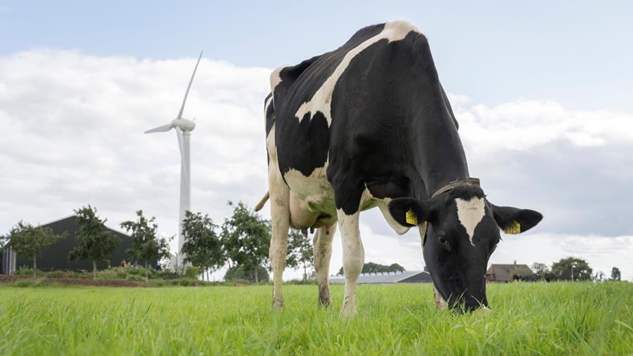 FrieslandCampina-melkveehouders ontvangen 245 miljoen euro aan toeslagen