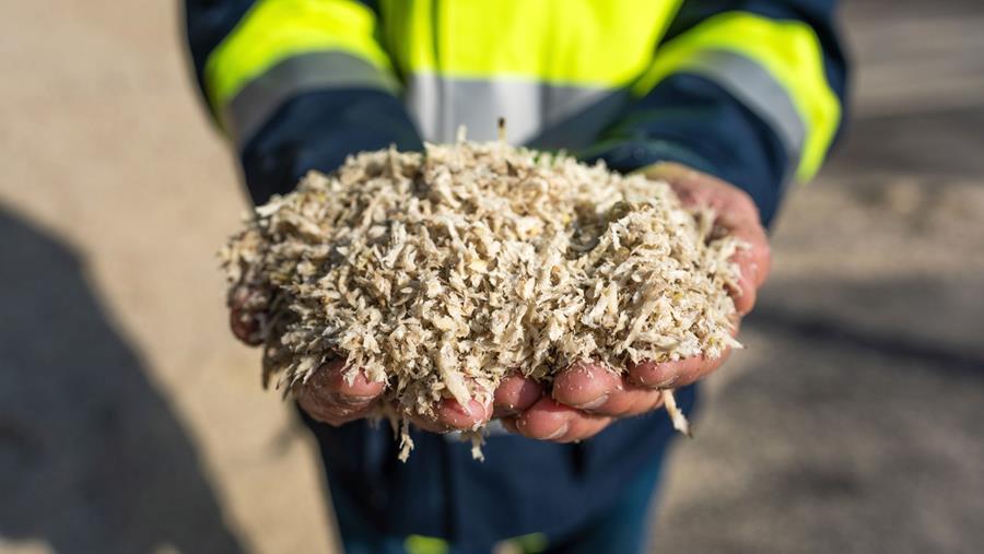 Waardevolle producten maken uit suikerbietenpulp