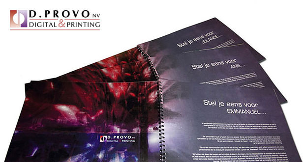 D. Provo vervangt zwakke administratieve schakel