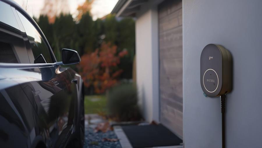 Une année anniversaire réussie pour go-e